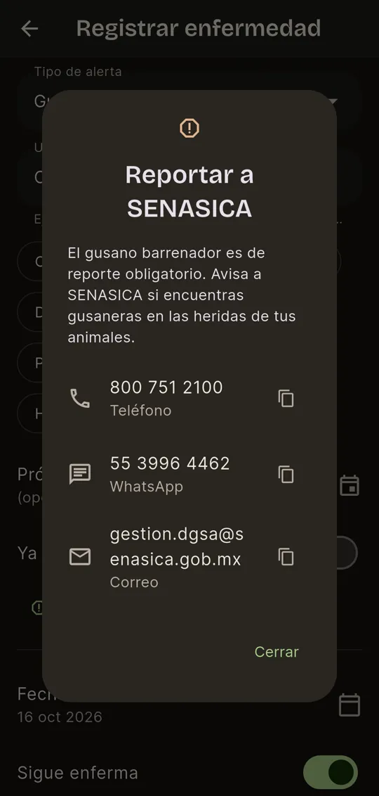 Ventana Reportar a SENASICA con el teléfono 800 751 2100, el WhatsApp y el correo