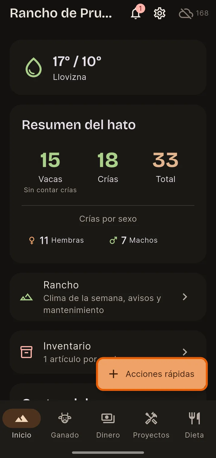 Toca “Acciones rápidas”