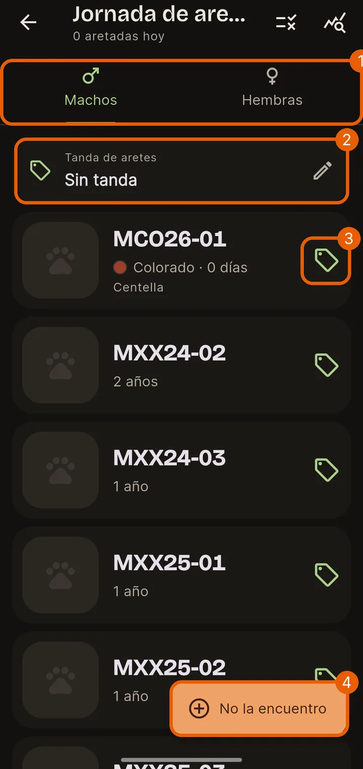 Lo que ves