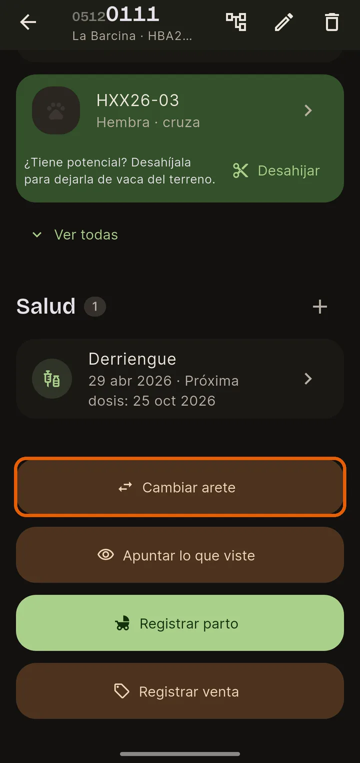 Desde la ficha