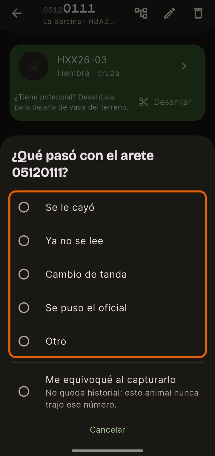 Di qué pasó