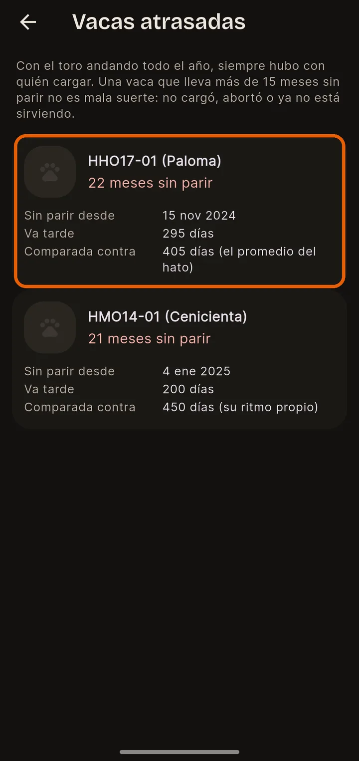Las que no han parido
