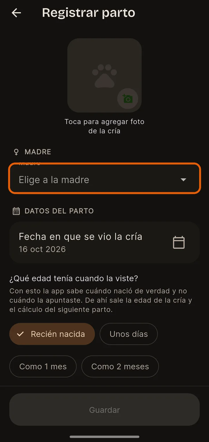 Elige a la madre