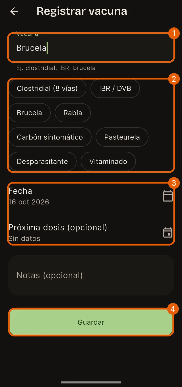 Llénala y guarda