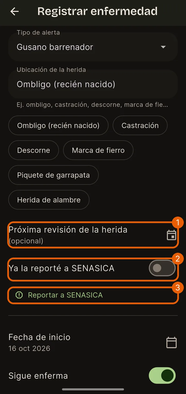 Revisión y reporte