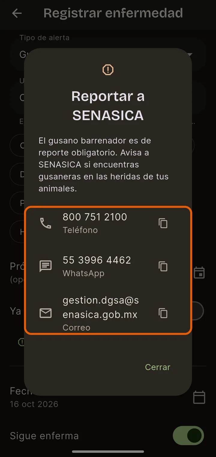 Revisión y reporte