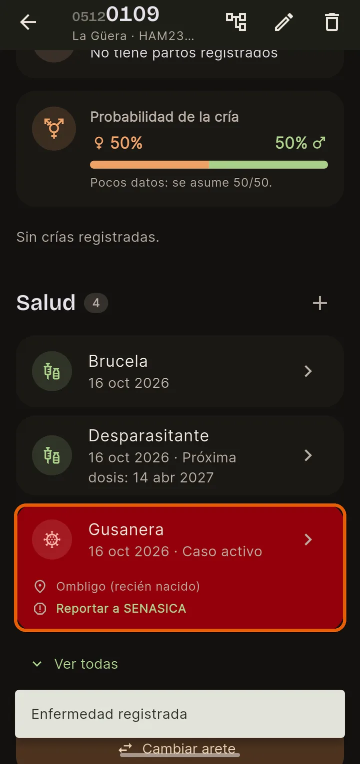 Así se ve en la ficha