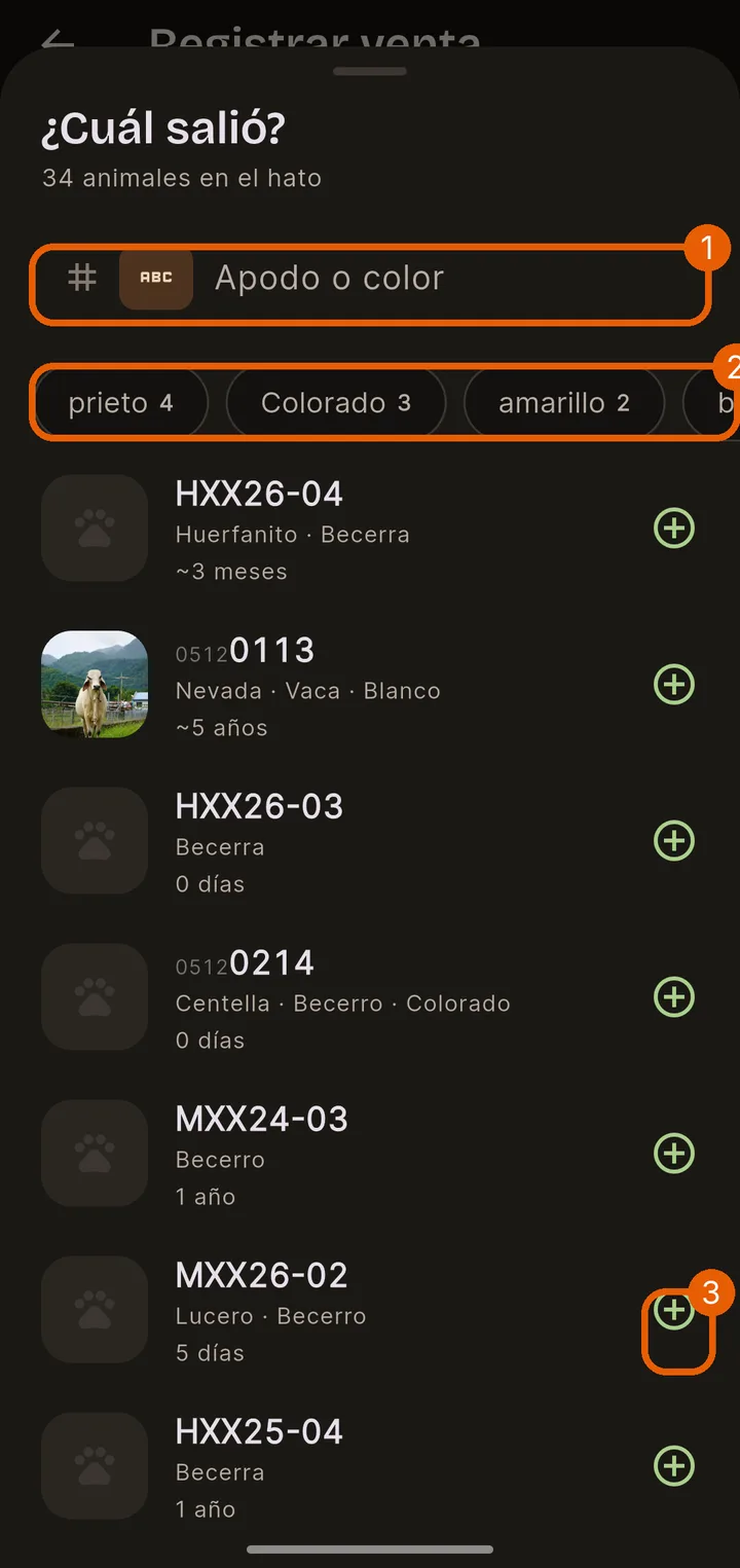 ¿Cuál salió?