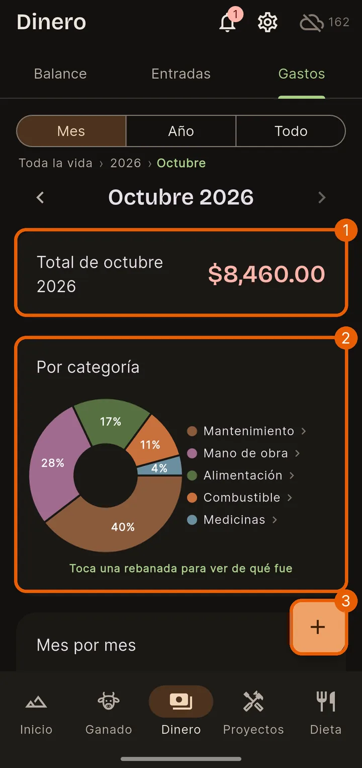 Ve a Dinero → Gastos y toca el +