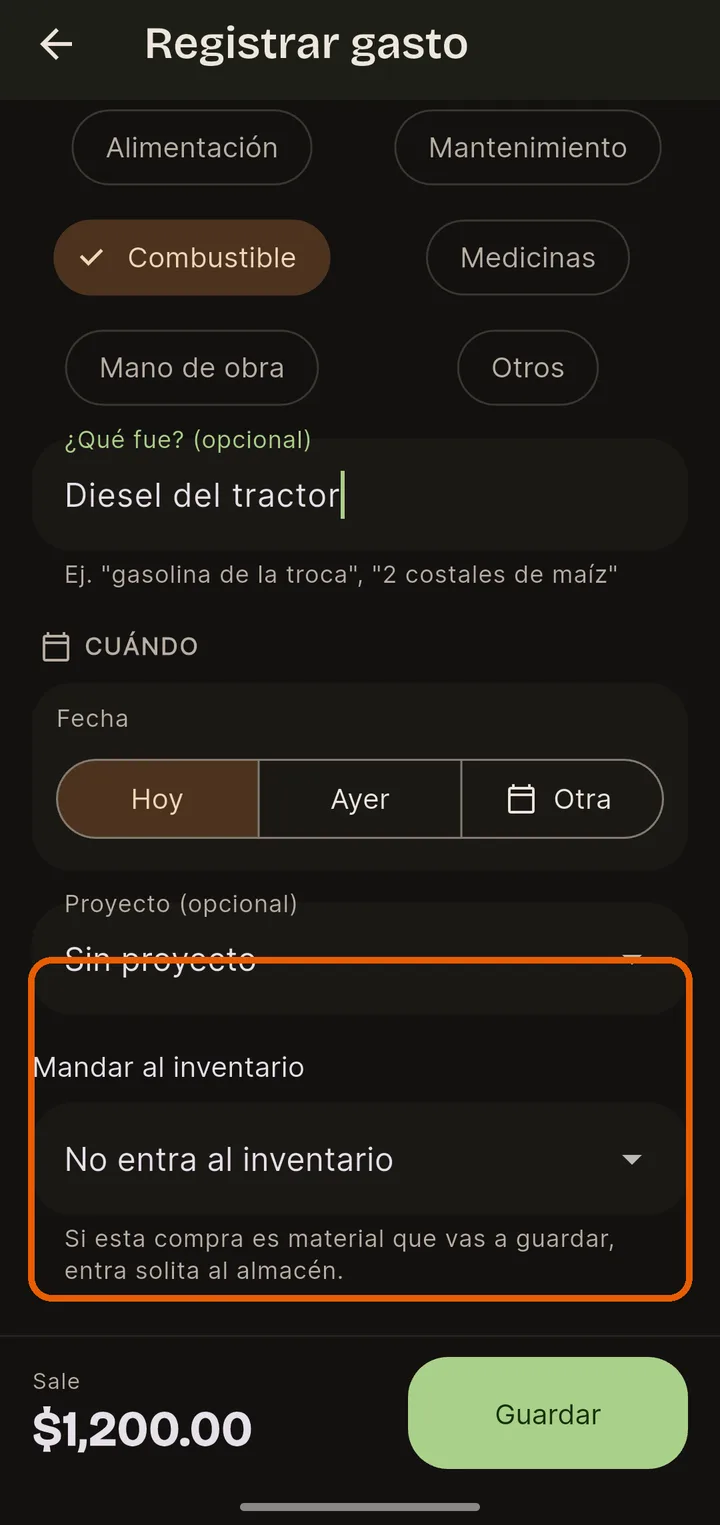 Además: proyecto o almacén