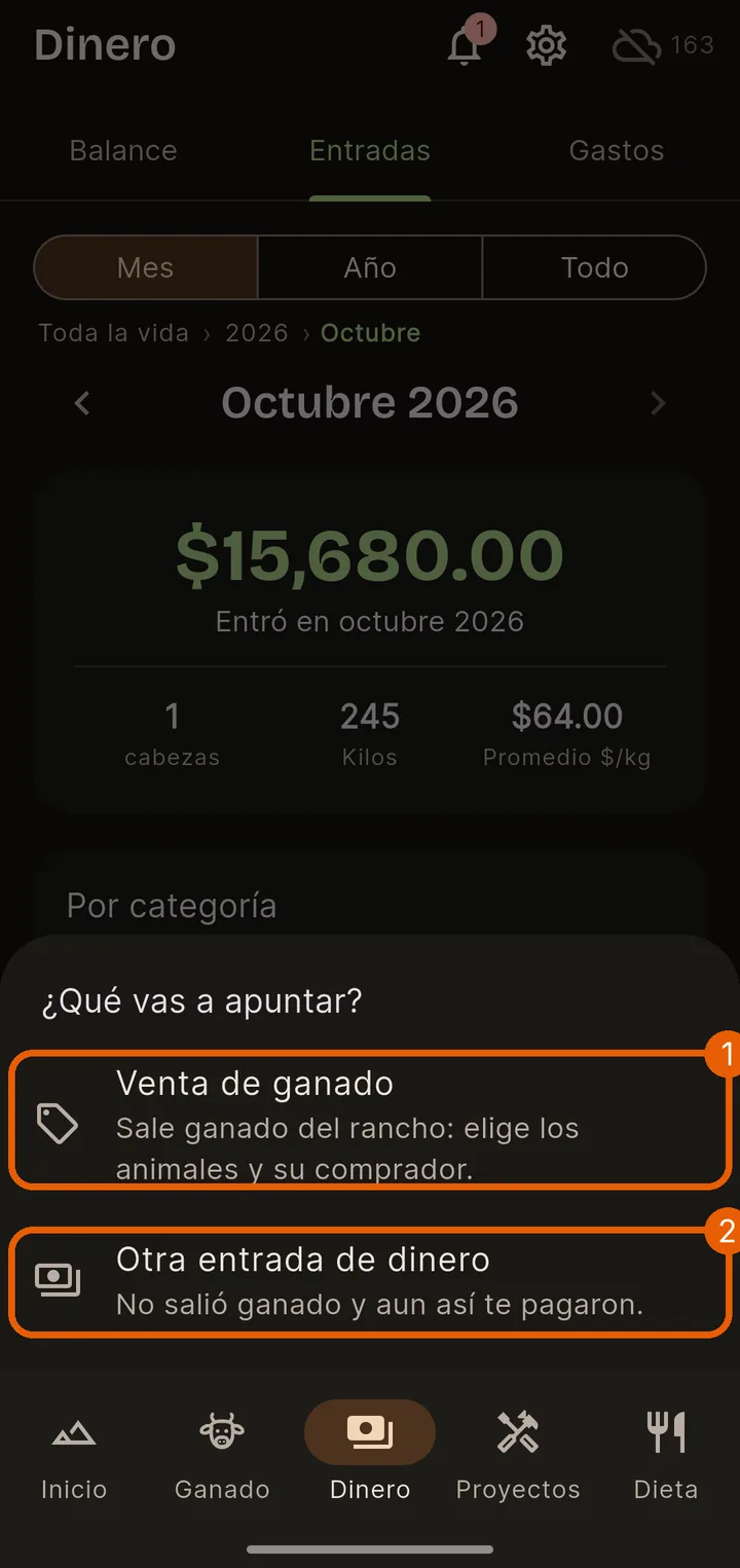Dinero → Entradas → +