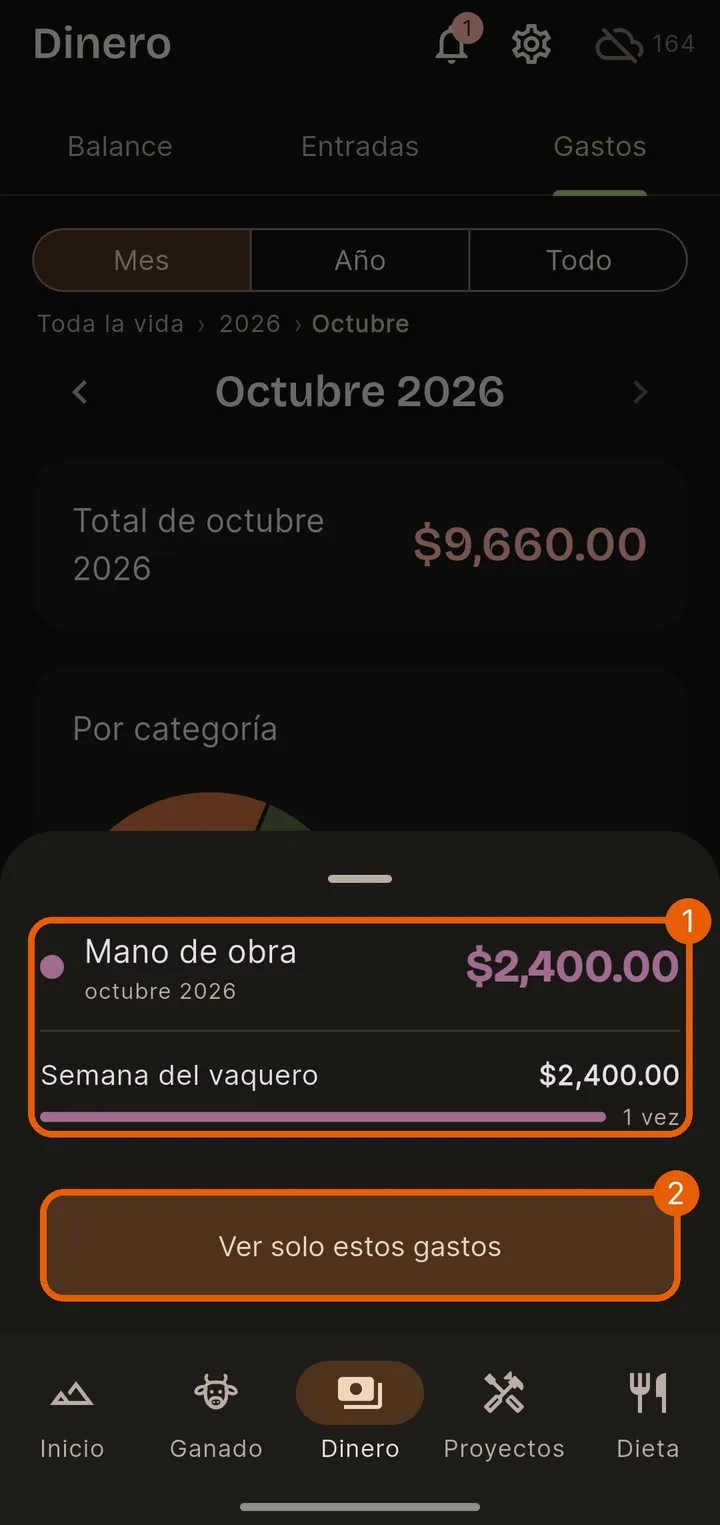 Ver de qué fue
