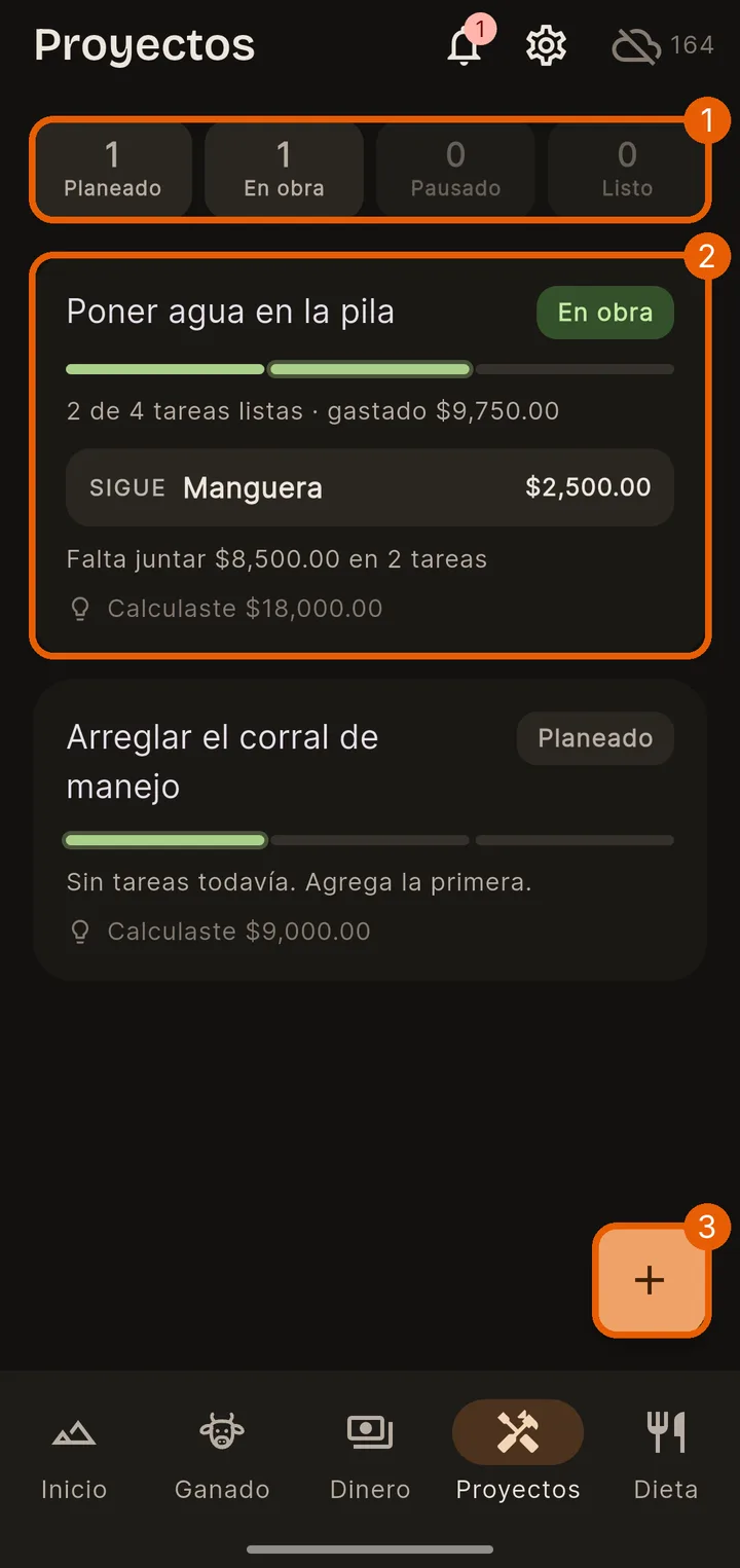 La pestaña Proyectos