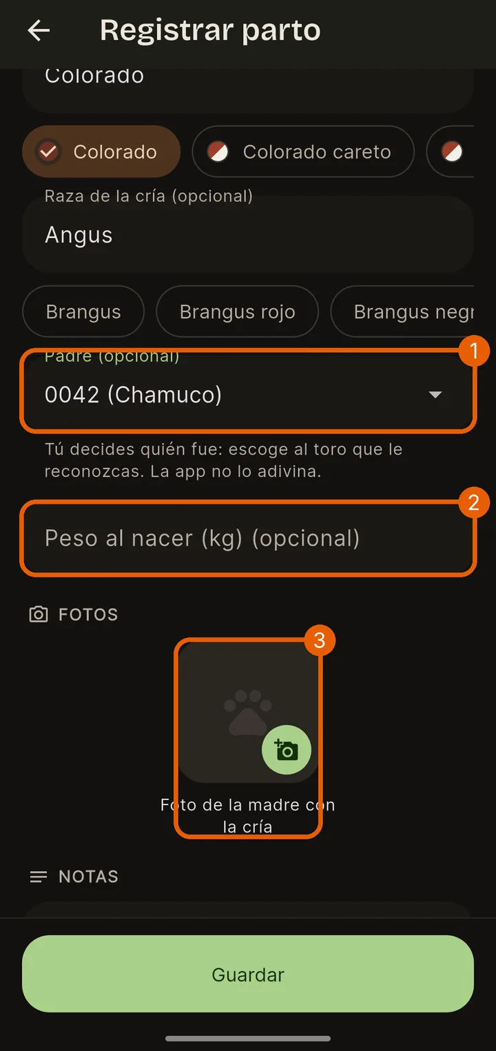 Padre, peso y foto