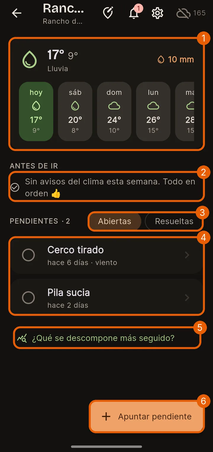 Lo que ves