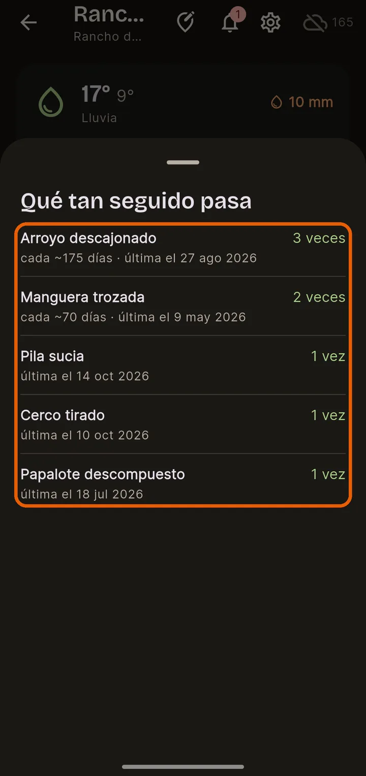 Qué tan seguido pasa
