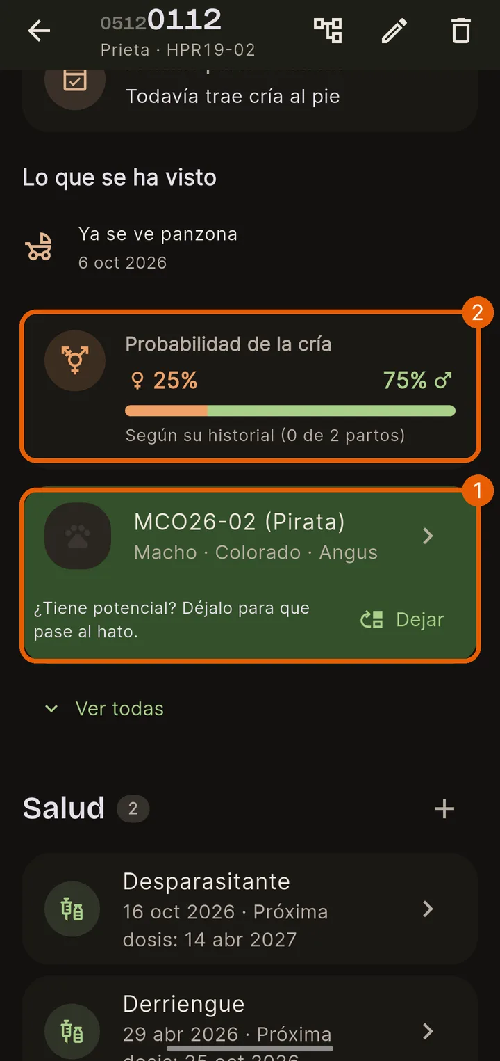 La cría y la probabilidad