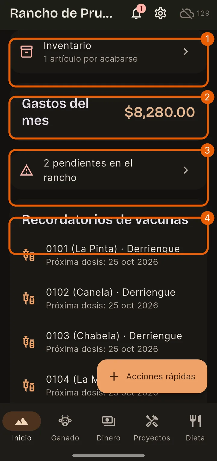 Accesos y dinero del mes
