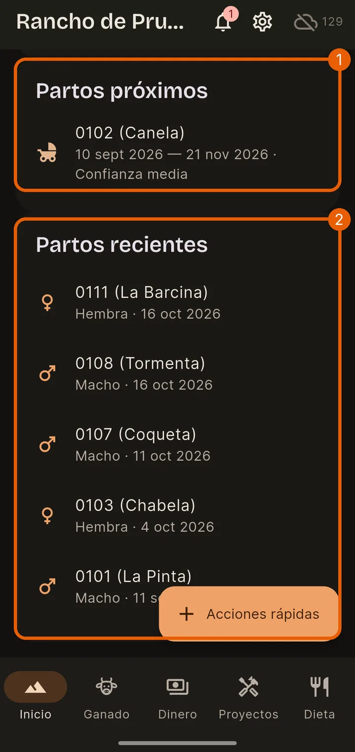 Vacunas y partos