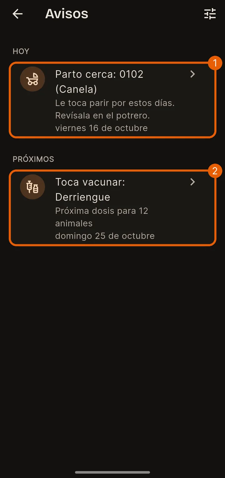 Hoy y próximos