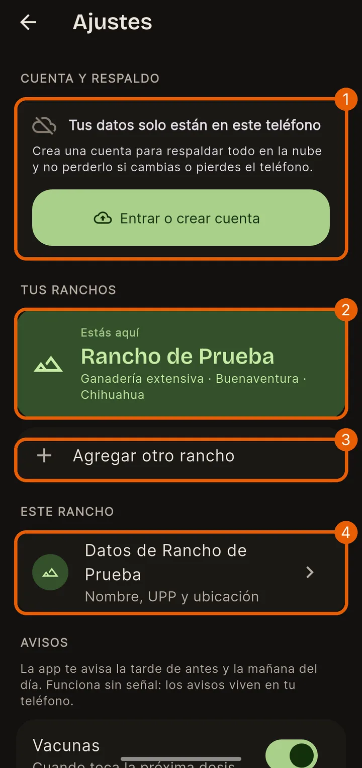 Arriba