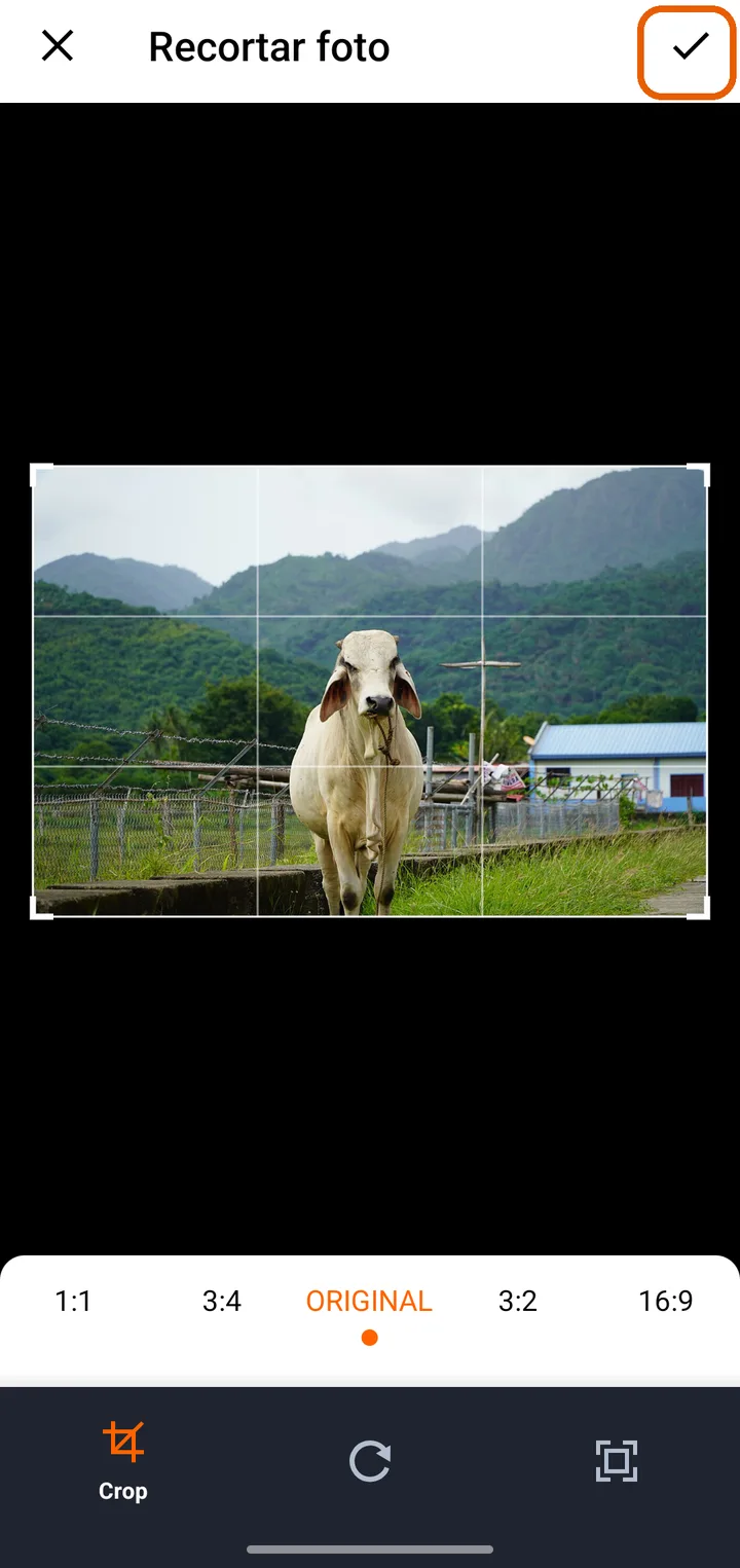 Escoge la foto y acomódala