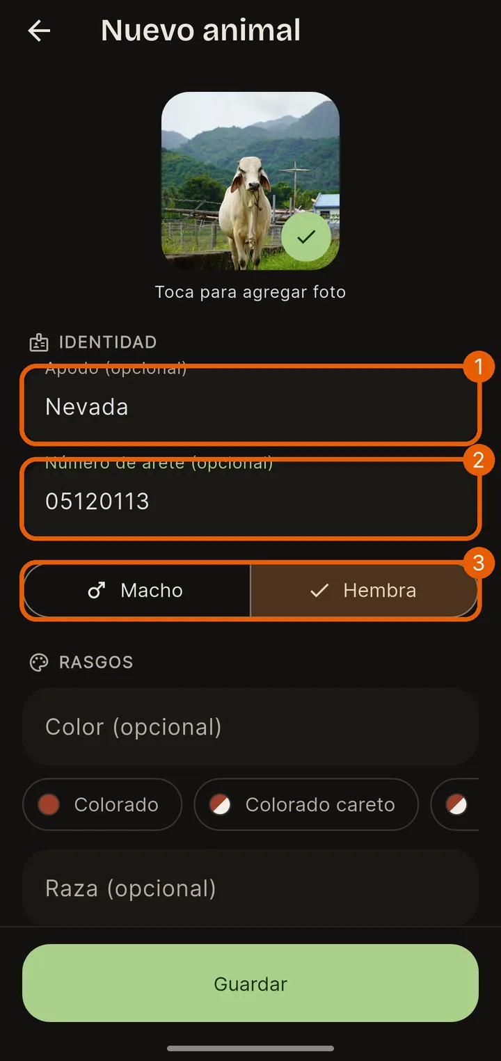 Identidad