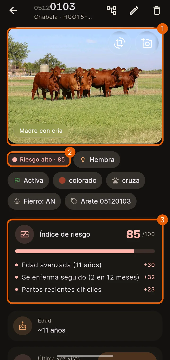 Foto, datos y riesgo