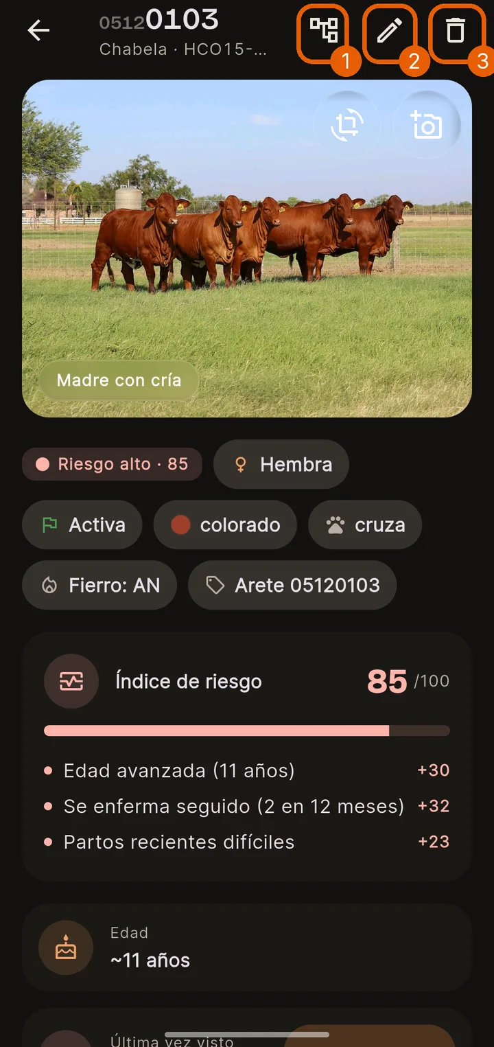 Los botones de arriba