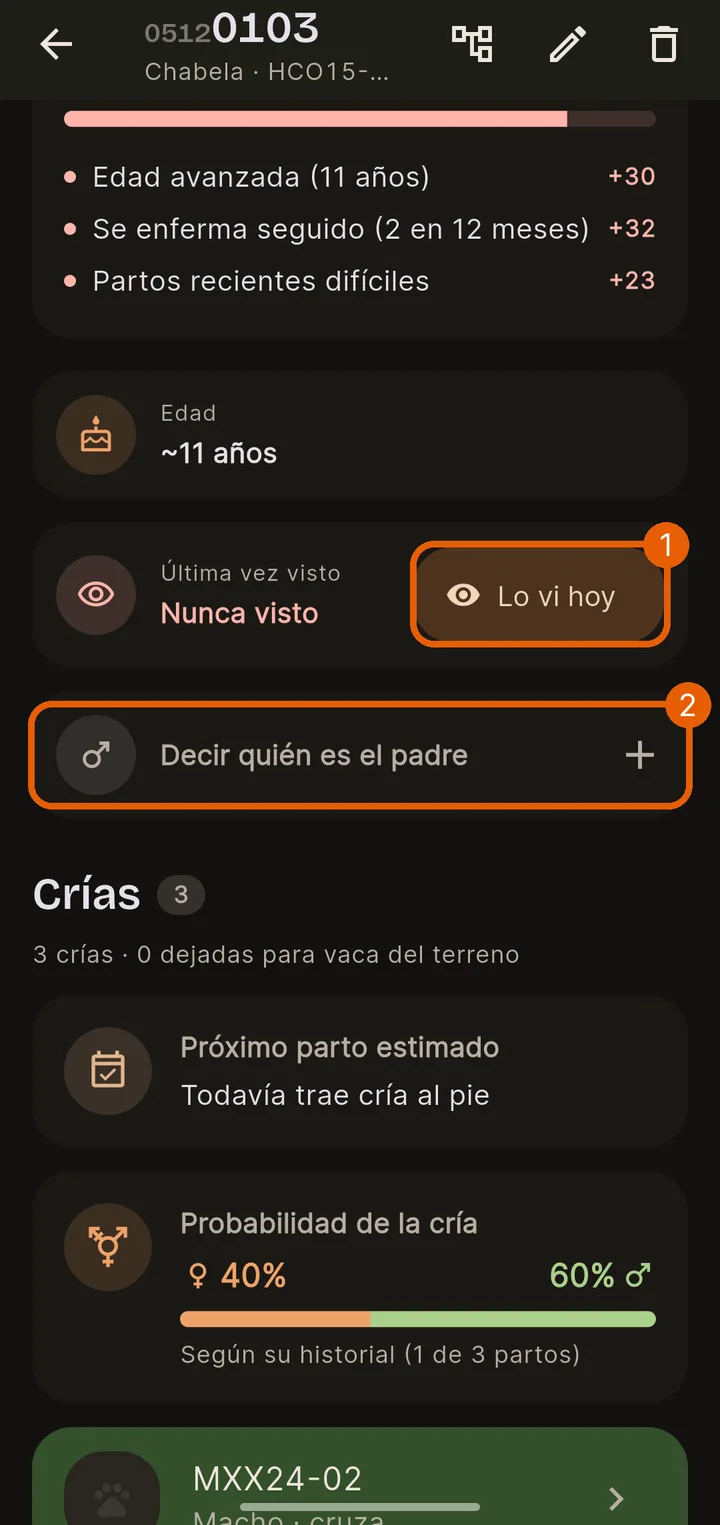 Cuándo la viste y quién es el padre