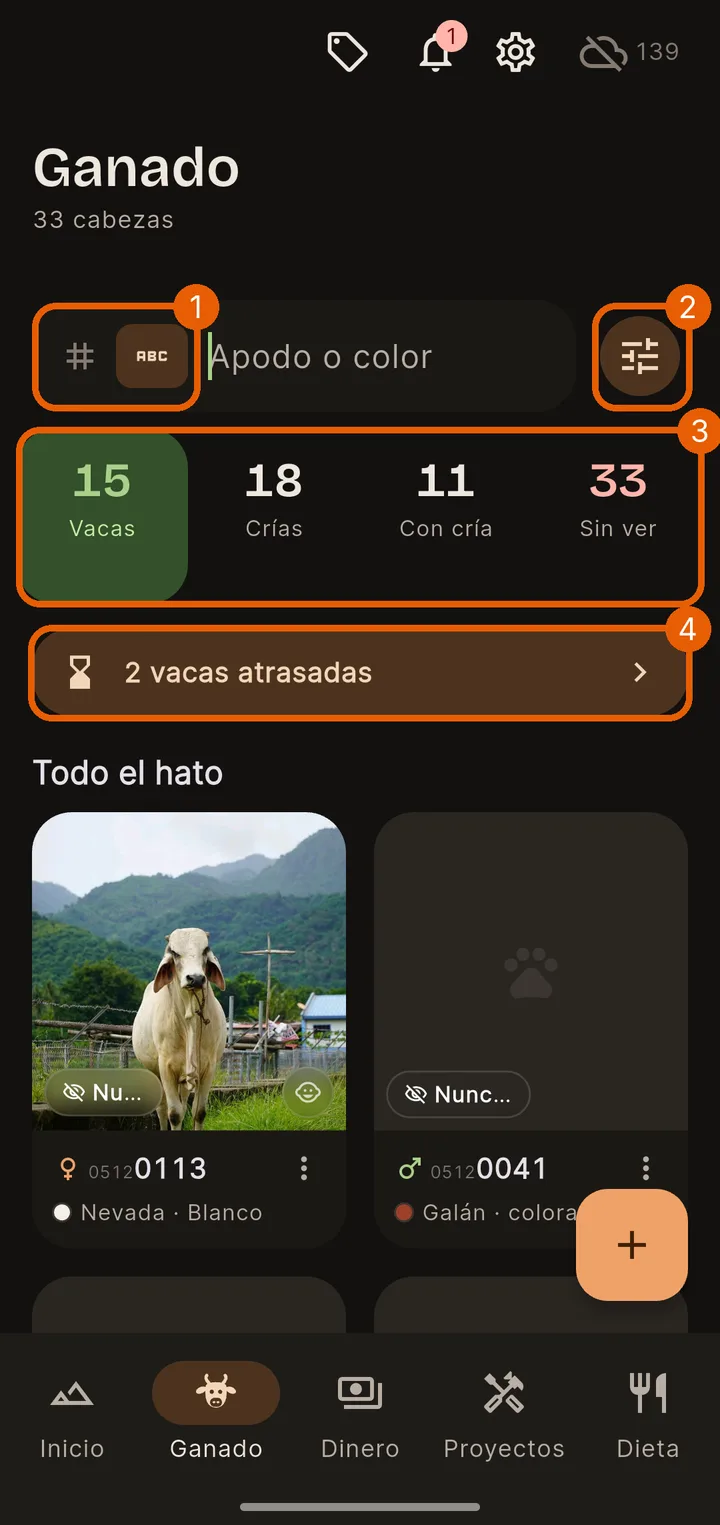 Lo que hay arriba